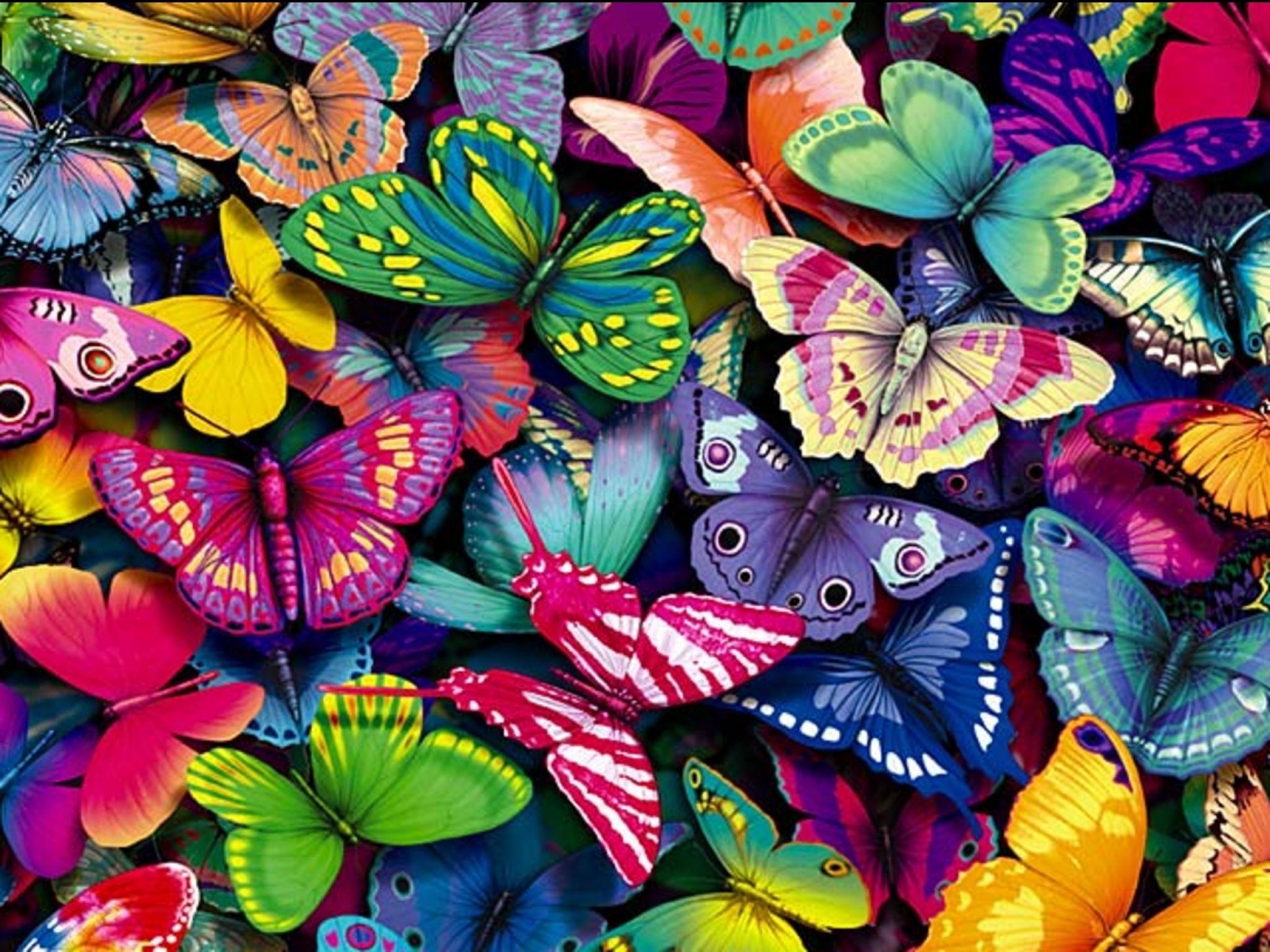 Farfalle Colorate