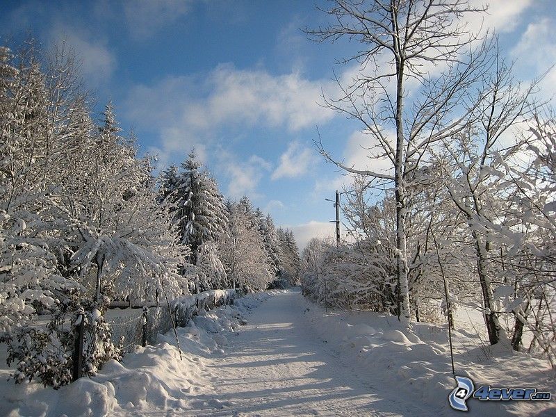 Strada Invernale